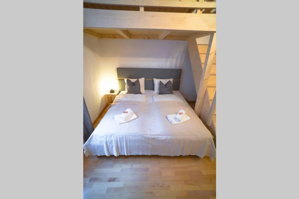 Cosy And Spacious Apartment In The Heart Of อินส์บรุค ภายนอก รูปภาพ